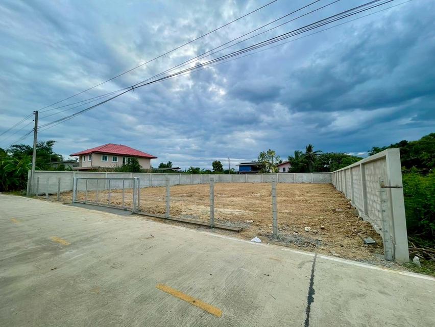 ขายที่ดินเปล่า อำเภอนครชัยศรี นครปฐม 5