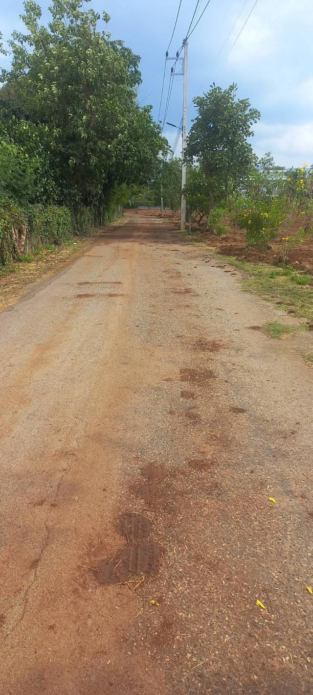 ขายที่ดินเขาใหญ่ 3-6 ไร่ ตำบล หมูสี แปลงสวย ติดถนน 10