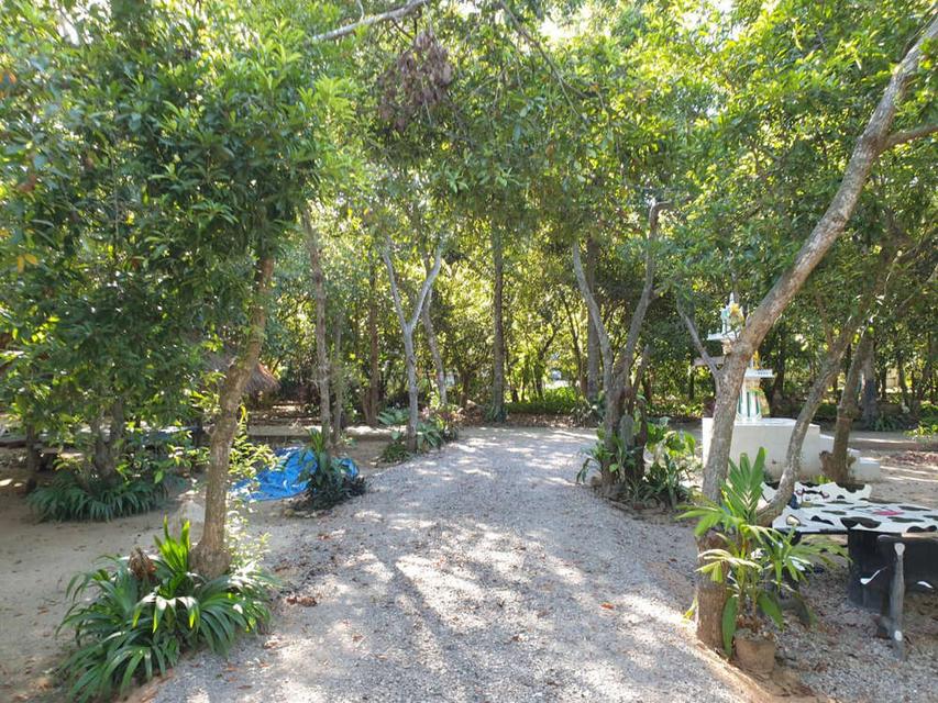 บ้านสวนละมุด 101 ขายที่ดินพร้อมบ้าน อำเภอบ้านลาด จังหวัดเพชรบุรี 4