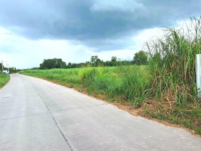 ขายที่ดินสวยราคาถูกหนองบอนแดง บนเนื้อที่ดิน 25-0-51 ไร่ (พร้อมโอน)อยู่ในโซนอุตสาหกรรมหนองบอนแดง