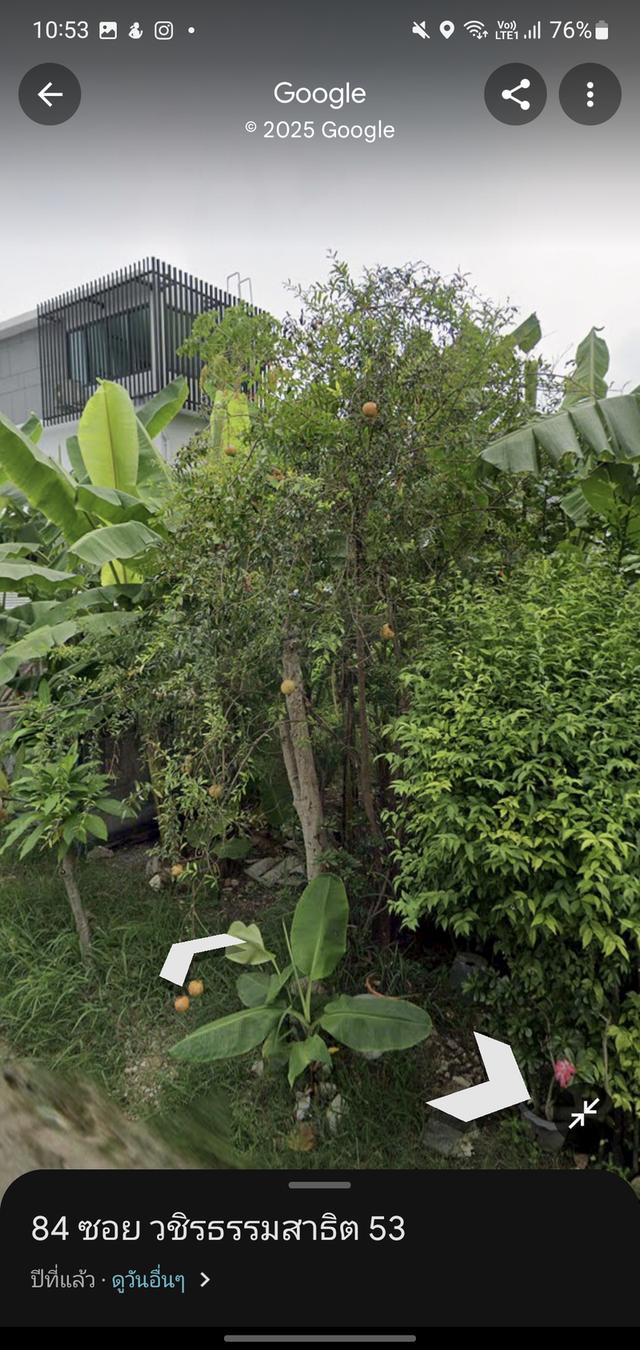 ที่ดินเปล่า 2