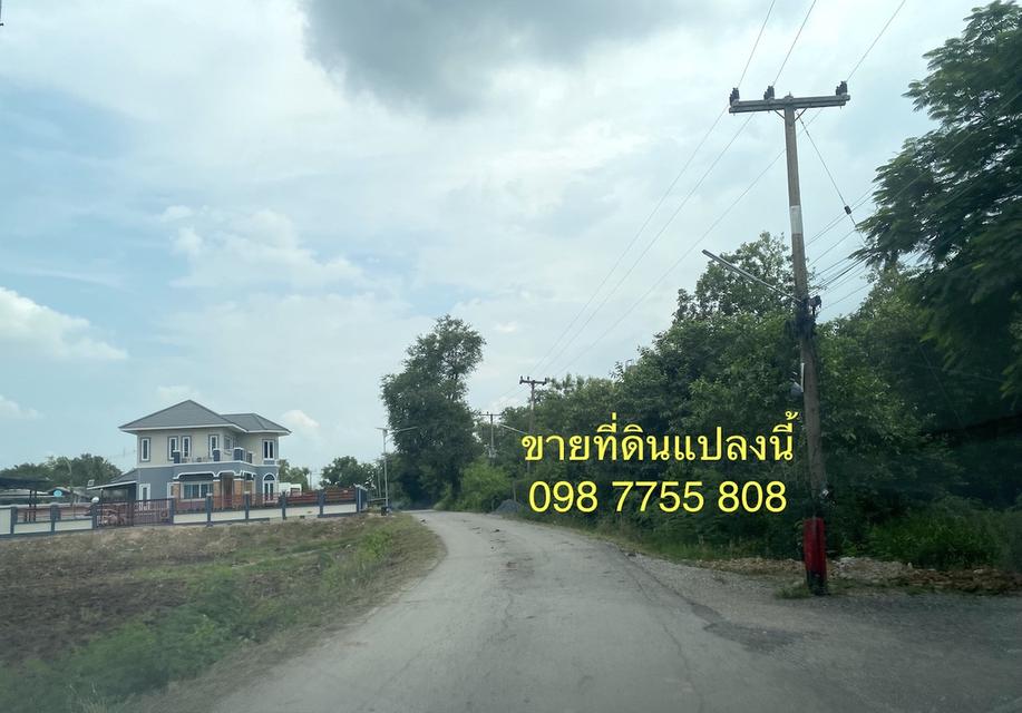 ขายไร่ละ 9 แสน ที่ดิน 2 ไร่ บ้านดอนกลาง นครหลวง พระนครศรีอยุธยา 098 7755 808 6