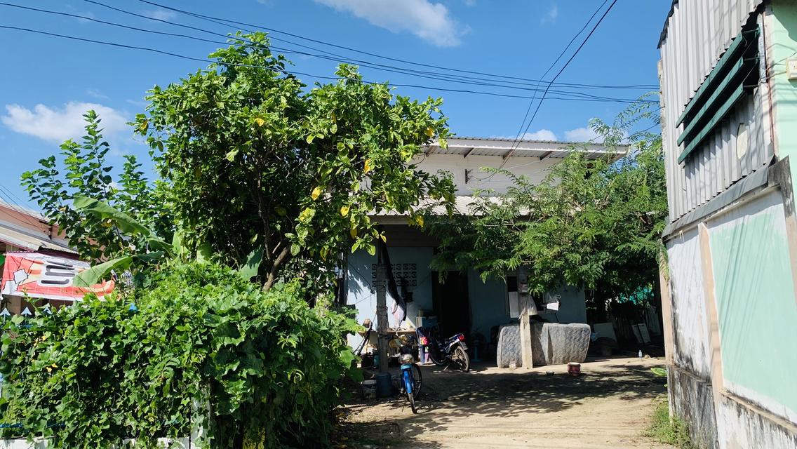 บ้านพร้อมที่ดิน 56.9 ตารางวา 2