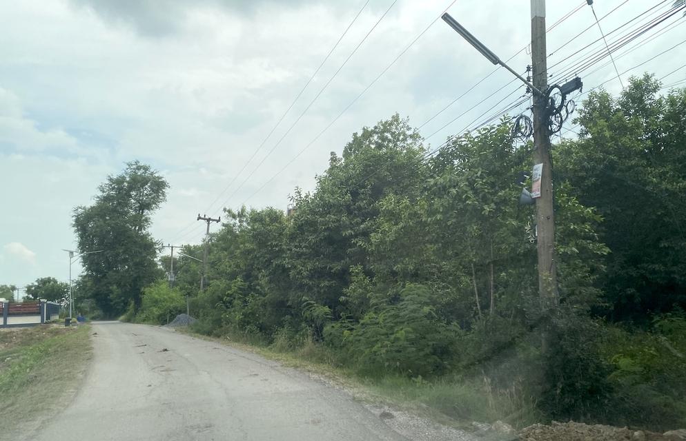 ขายไร่ละ 9 แสน ที่ดิน 2 ไร่ บ้านดอนกลาง นครหลวง พระนครศรีอยุธยา 098 7755 808 5