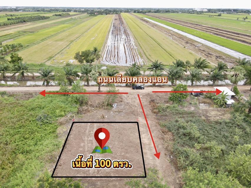 ที่ดินคลอง 8 ปทุมธานี 100 ตรว. 4