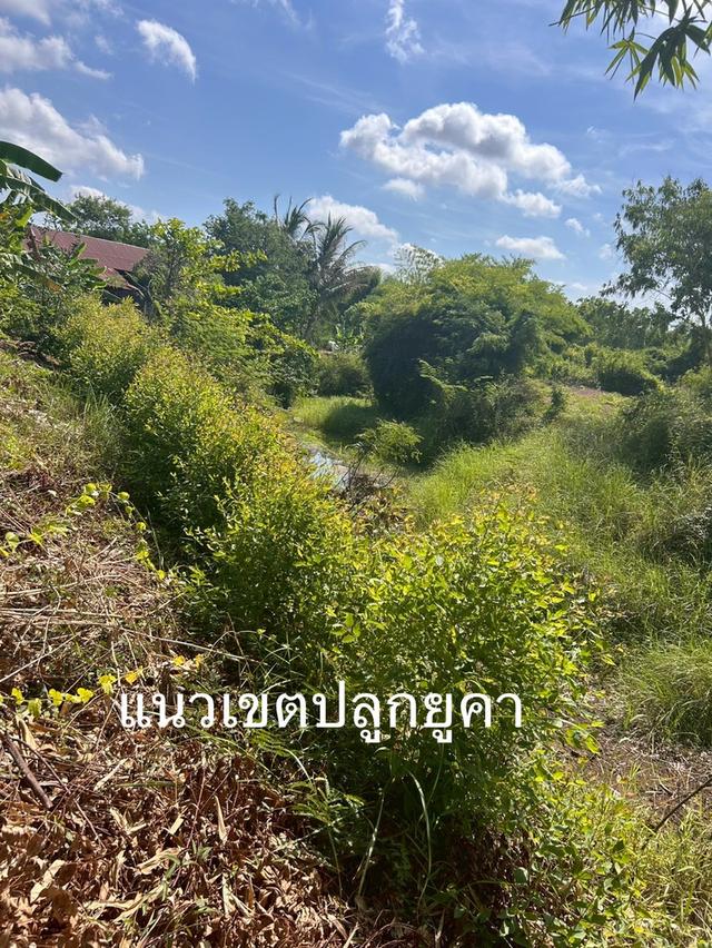 มารับทรัพย์แปลงนี้ด่วน‼️ที่ดินติดรีสอร์ต "ชมทุ่ง" วิวหลักล้าน บรรยากาศชิลทุกตารางนิ้ว แถมบ้านเดี่ยว มีผู้เช่าตลอดปี บ้านอ่างไผ่ อ.วัฒนานคร จ.สระแก้ว