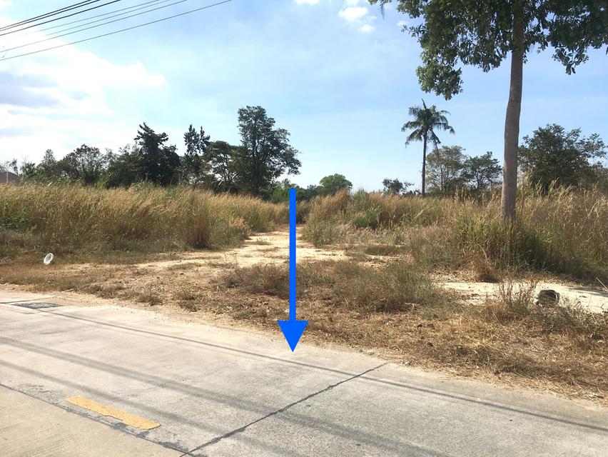 ขายที่ดินเนื้อที่ 4ไร่ 2งาน 83ตรว.ห่างถนนสุขุมวิท 1.8กม.ใกล้สวนนงนุชพัทยา ตำบลนาจอมเทียน สัตหีบ ชลบุรี ที่ดินถมแล้ว ใกล้เขาชีจรรย์ 2