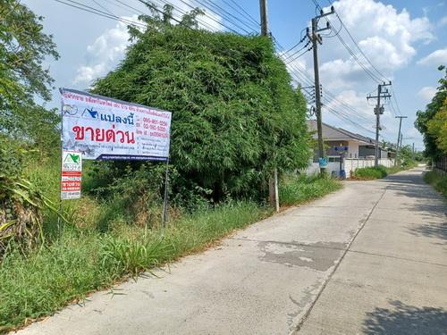 ที่ดินเปล่า 1-1-88.4 ไร่ ต.เมืองปัก อ.ปักธงชัย จ.นครราชสีมา  4