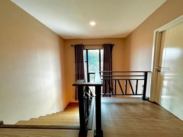 PB5896ให้เช่า บ้านเดี่ยว ย่านคลอง2 รังสิต โครงการ The Plant รังสิต-คลอง2 ใกล้ฟิวเจอร์พาร์ค รังสิต 8