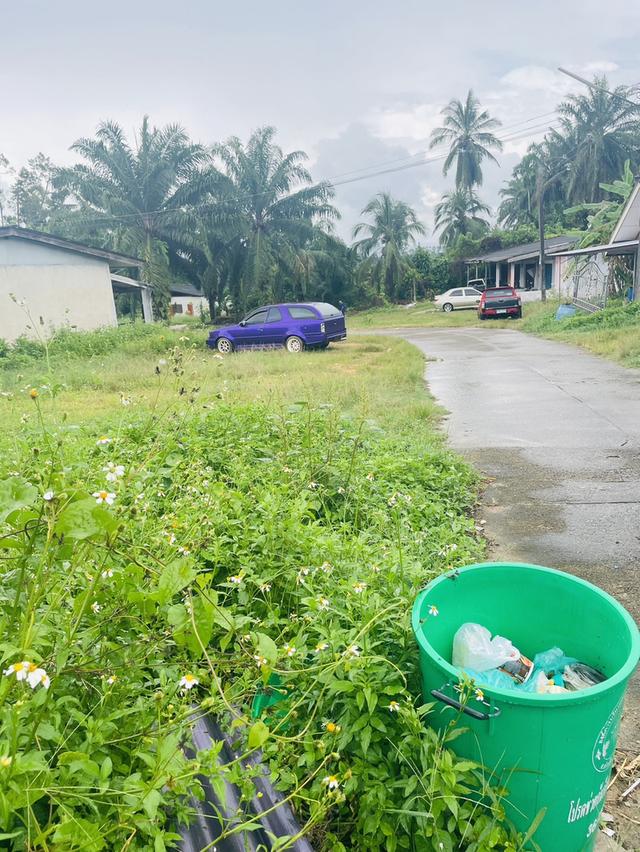 ที่ดิน 2