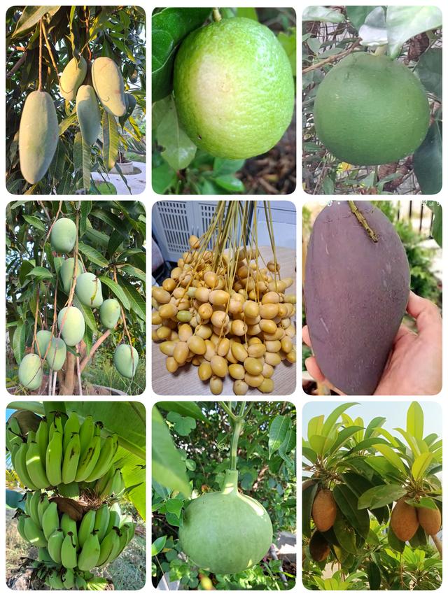 บ้านสวน 200ตรว. สุพรรณบุรี 2