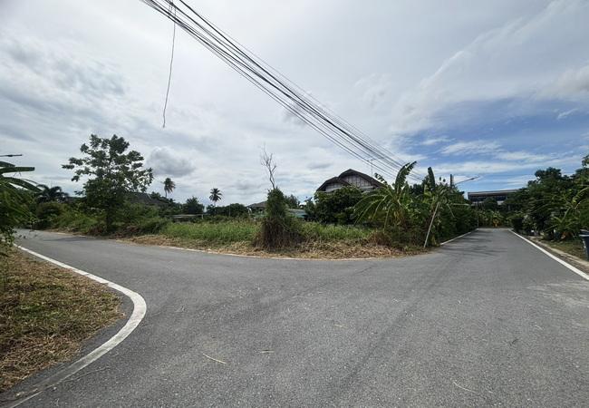 ขายที่ดิน ซอยสุขาภิบาล 10 สามพราน นครปฐม เนื้อที่ 89 ตร.ว. แปลงมุม รูปที่ 6