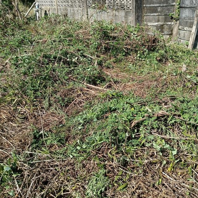 ที่ดินท่าไข่ฉะเชิงเทรา 13