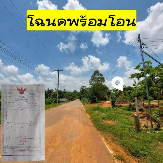 ที่ดินวิวสวย 5 ไร่น้ำ&ไฟ โฉนดพร้อมโอนปากช่อง 4