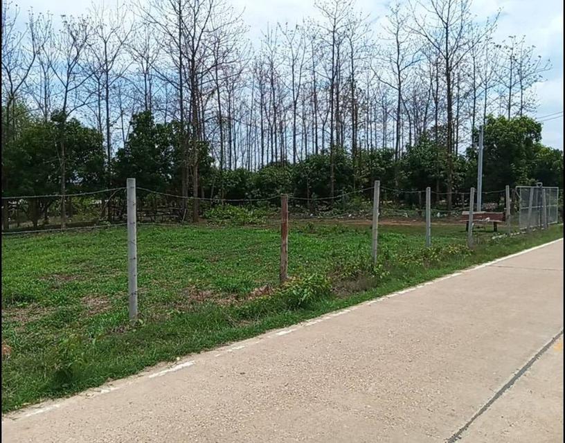 ขายที่ดินลำปาง เสริมงาม 3