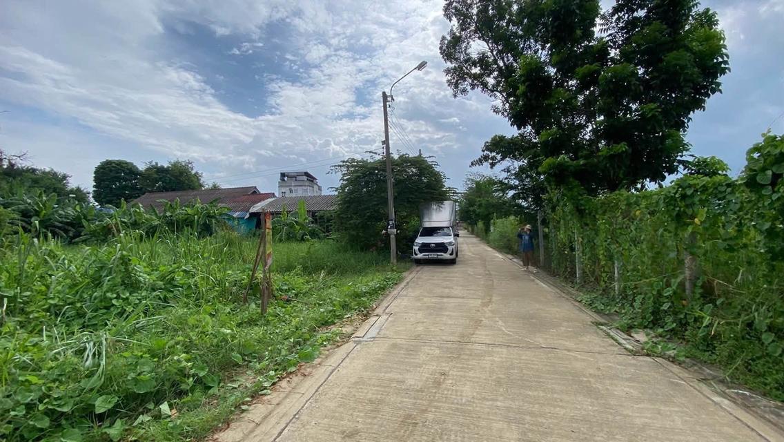 ขายด่วนที่ดินต่ำกว่าราคาประเมิน 108 ตรว ติดถนนคอนกรีต ซ.เพชรเกษม 108 ภาษีเจริญ กรุงเทพฯ 7