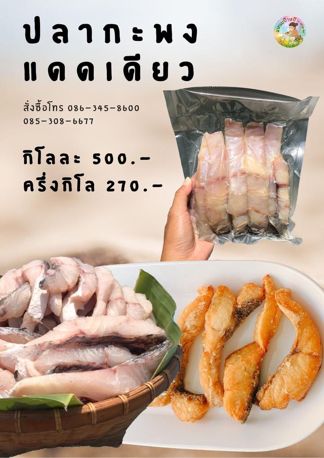 ปลากะพงแดดเดียว แล่เนื้อ ไร้ก้าง สนใจสั่งได้ค่ะ 1