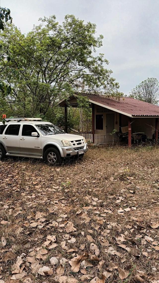ยังขายอยู่นะครับบ้านสวนพร้อมที่ดิน จ.หนองคายครับ อยู่ในเขต บ้านหนองสองห้อง อ.เมือง หมู่ 8 เนื้อที่ 2 ไร่ 3.3 ตร.ว ติดทางสาธารณะ 2 ด้านเลย 1