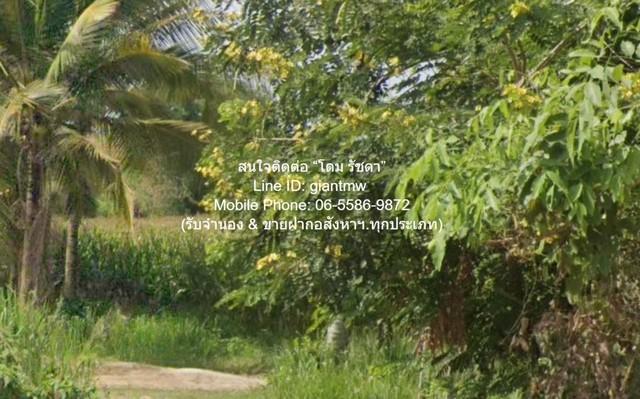 DSL-1017 ขาย ที่ดิน ขายที่ดินเปล่า หนองหญ้าปล้อง จ.เพชรบุรี (ใกล้ทางหลวง 3510 และ 1015) 32-0-76 ไร่ ราคา 17 ล้านบาท ใกล้ 8