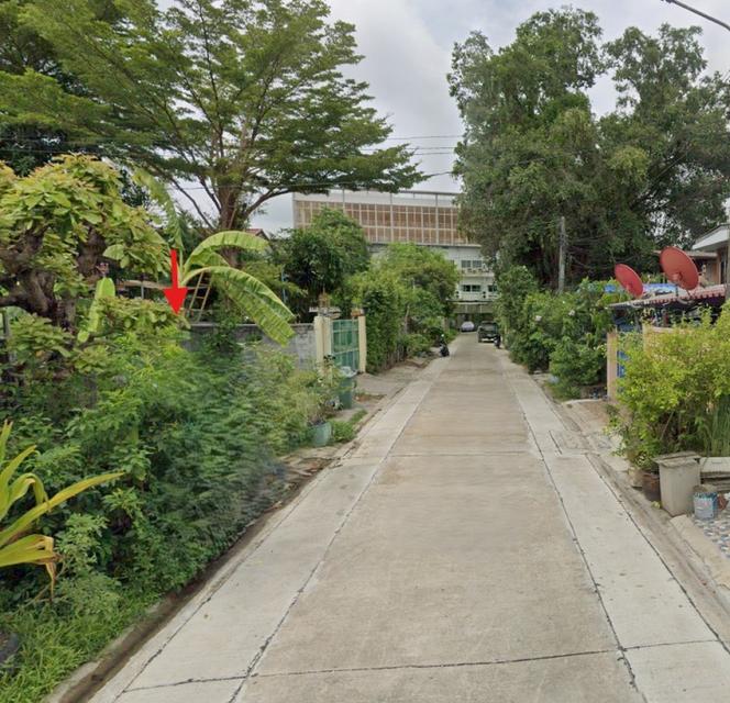 ขายที่ดิน 82 ตร.ว. ซอยศิริเกษม 15 ใกล้ตลาดศิริเกษม และโรงเรียนอัสสัมชัญธนบุรี