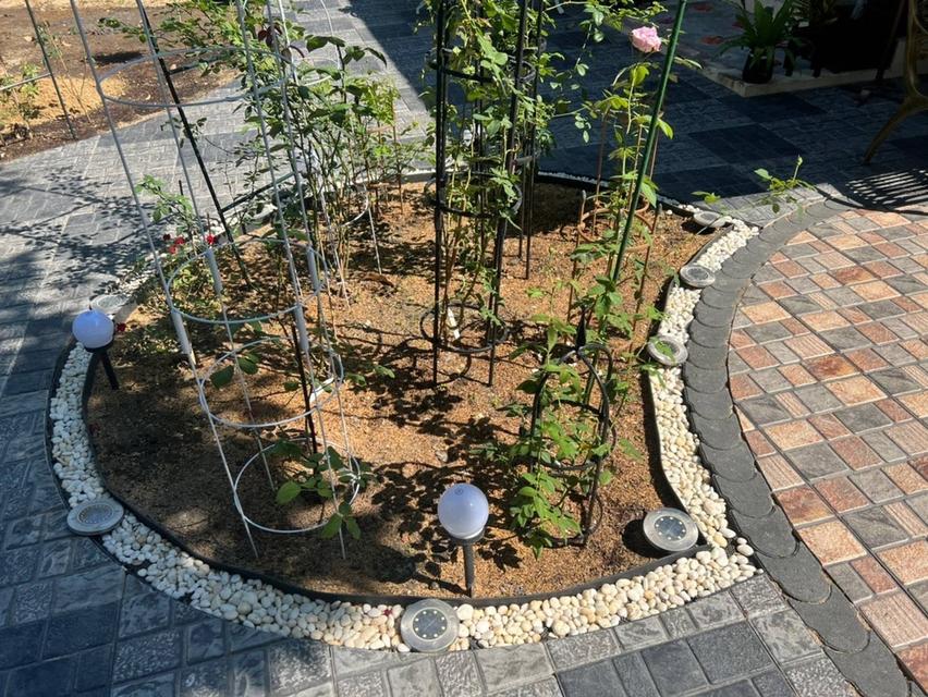 Border Curb รุ่น BL12