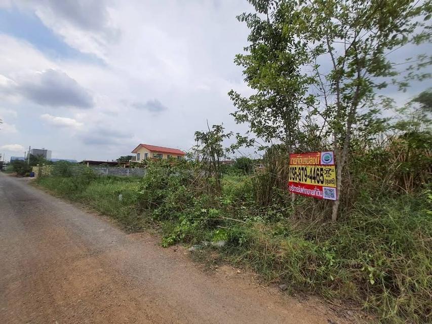 ขายถูกที่สุด ที่ดินทำเลดี 100 ตารางวา ติดถนนสาธารณะ ซอย คลองห้าตะวันออก 3 อ.คลองหลวง จ.ปทุมธานี 4