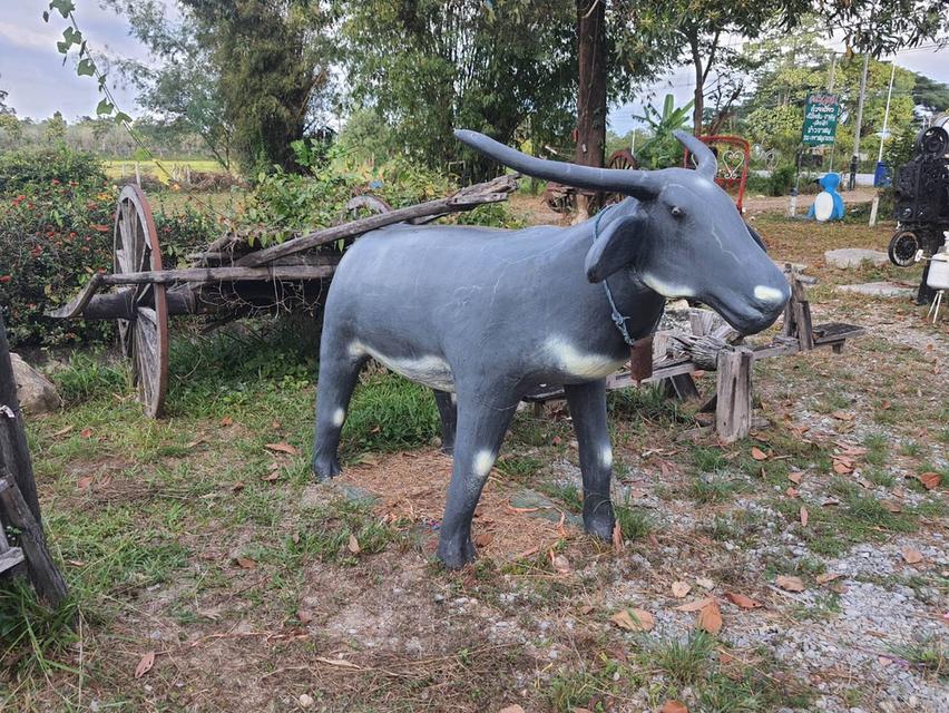 ของเก่า งาน vintage ขายถูกๆๆ หมดสัญญาเช่าร้าน รูปที่ 3