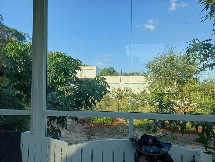 ขายด่วน! ที่ดินพร้อมบ้านและธุรกิจรังนกนางแอ่น (6 ไร่) 2