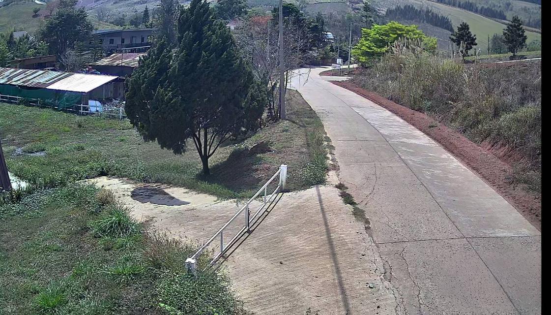 ทีดินเพชรบูรณ์ อำเภอเขาค้อ ตำบล ทุ่งสมอ 2