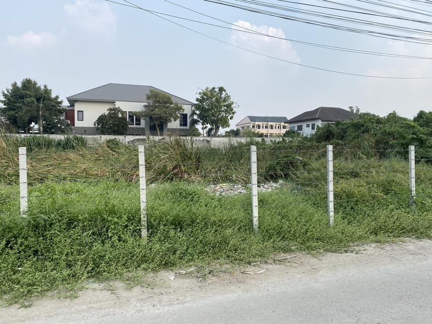 ขายวาละ 45,000 บาท ที่ดิน 1 ไร่ ซอยนวมินทร์ 111 แยก 7 10