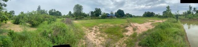 ขาย ที่ดิน พร้อมบ้าน ตำบล กุดน้ำใส อำเภอจัตุรัส ชัยภูมิ 36130 5