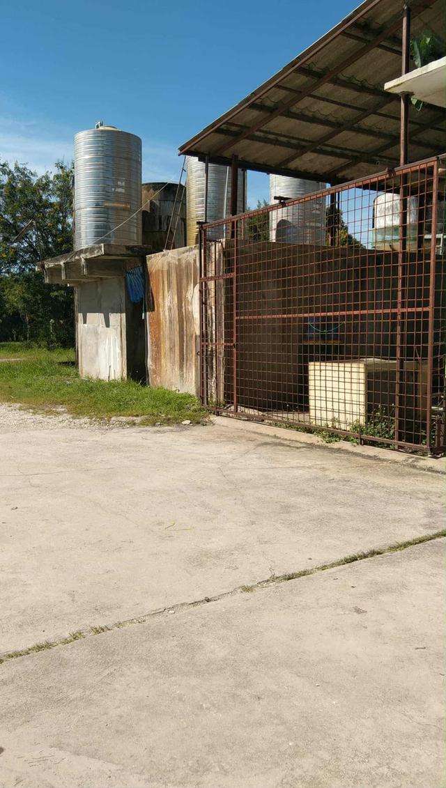 โรงงาน 20 ตัน3.5ล้าน 095-465-2771