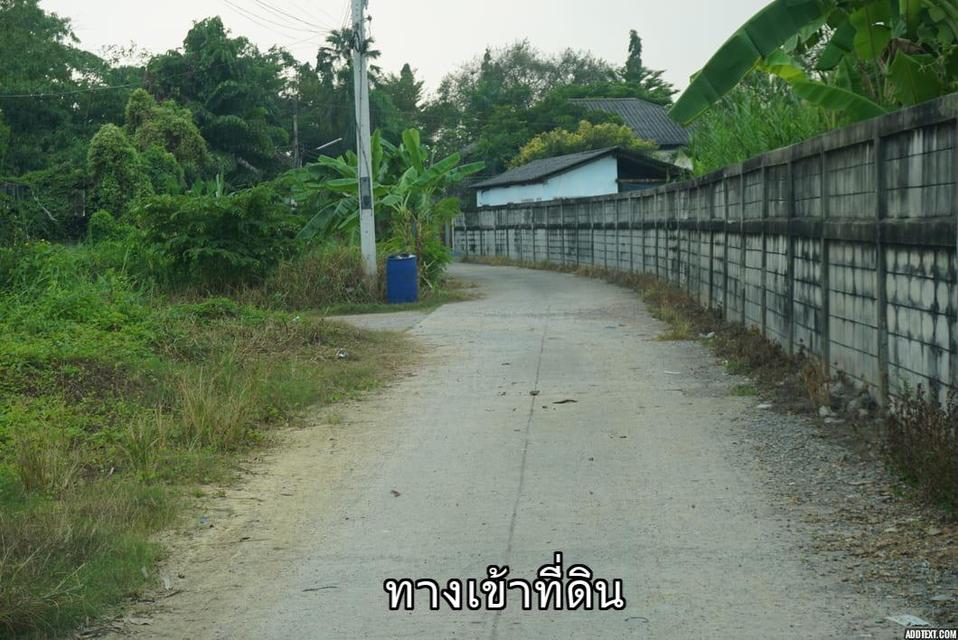 ขายที่ดินติดแม่น้ำท่าจีน อ.สามพราน จ.นครปฐม 2