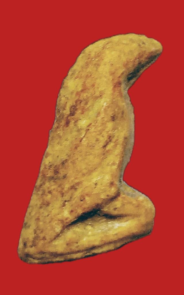 สาริกาเนื้อผงไม่ทราบที่