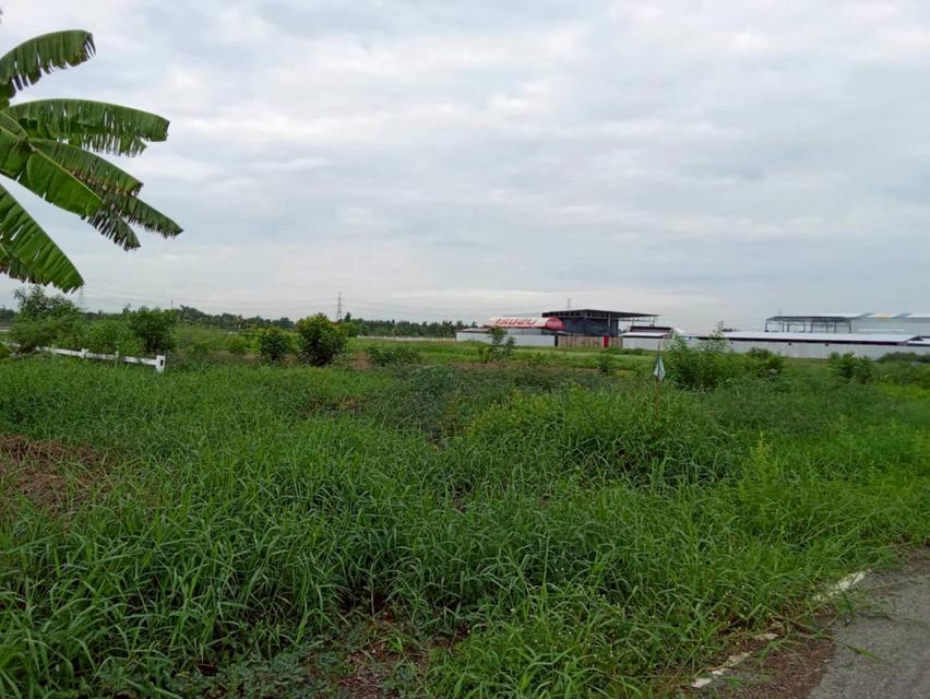 ขายที่ดิน 2 ไร่ ซอยเลียบคลองสิบสามฝั่งตะวันออก 34 ใกล้วัดป่าวิศรุตรัตนาราม