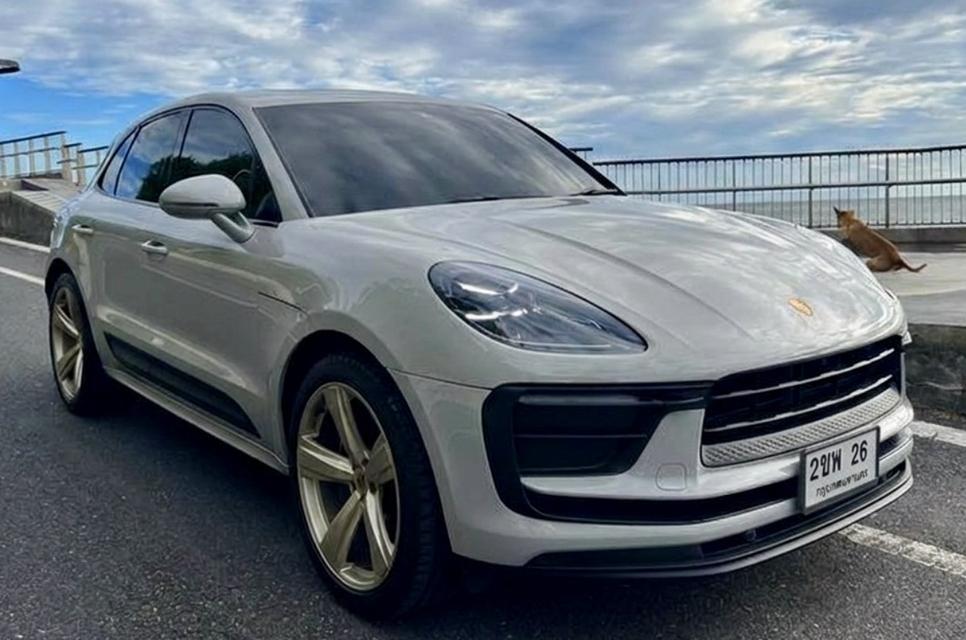 Porsche Macan 2.0 PDK (AAS)