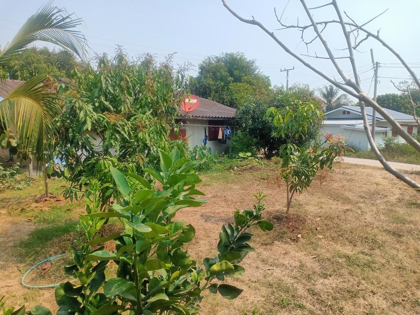 ที่ดินพร้อมบ้านราคาถูก🏡 9