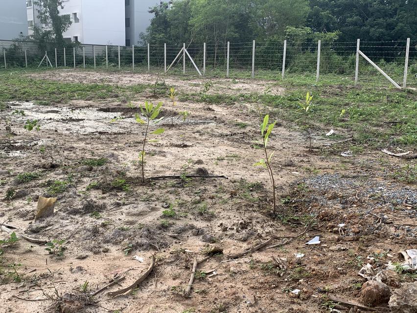 ให้เช่าที่ดินเชียงใหม่ 15,000 ต่อเดือน หางดง เชียงใหม่ 1 ไร่ 47ตรว 2