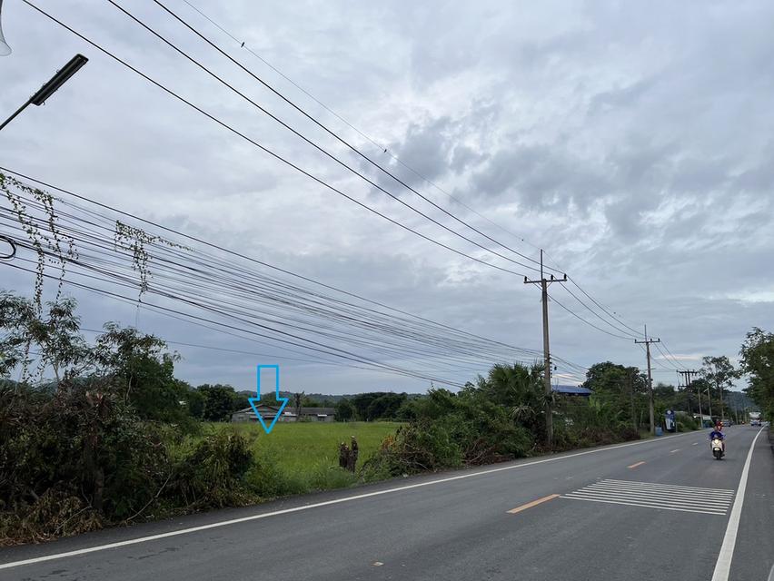 ขายที่ดินโคกกรุง แก่งคอยบ้านนา (ชุมชนชำผักแพว) อ.แก่งคอย จ.สระบุรี 14
