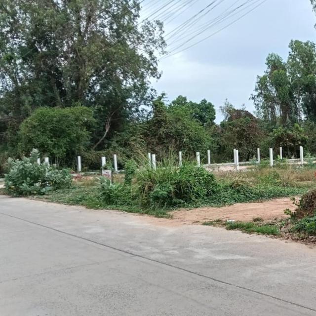 ขายที่ดินบ้านเพถมแล้วสวยๆเนื้อที่ 129 ตรว.ติดถนนเพรักษฯซ.6 ใกล้ท่าเรือเกาะเสม็ด-1.6กม. เมืองระยอง 1