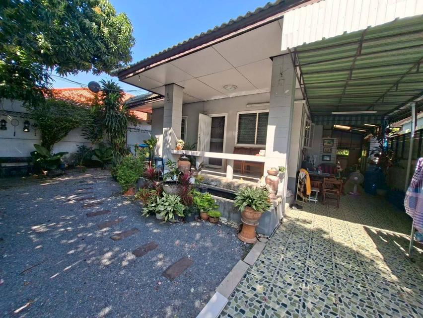 ขายบ้านเดี่ยวชั้นเดียว หมู่บ้านเอซีเฮ้าส์2 ใกล้ตลาดเอซี คลอง4 4