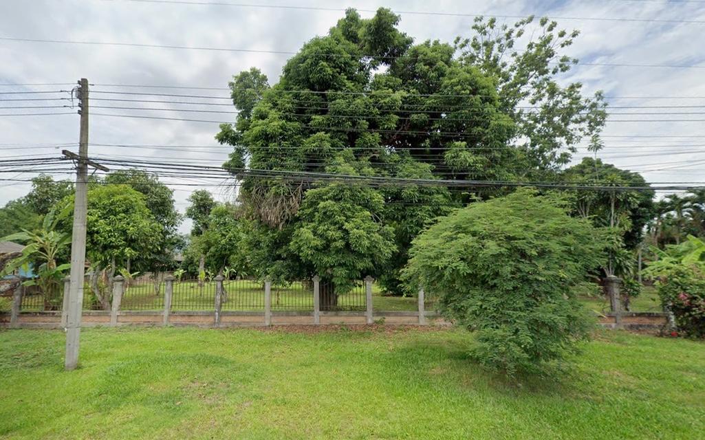 ที่ดิน ขายที่ดินเชียงราย 1 ไร่ 2 งาน 64.3 ตร.ว. ใกล้ถนนพหลโยธิน และเซ็นทรัล เชียงราย 1