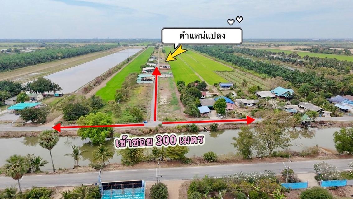 ขายที่ดินคลอง 8 หนองเสือ 200 ตรว. ถมแล้วที่โฉนดนส.4พร้อมโอน จ.ปทุมธานี