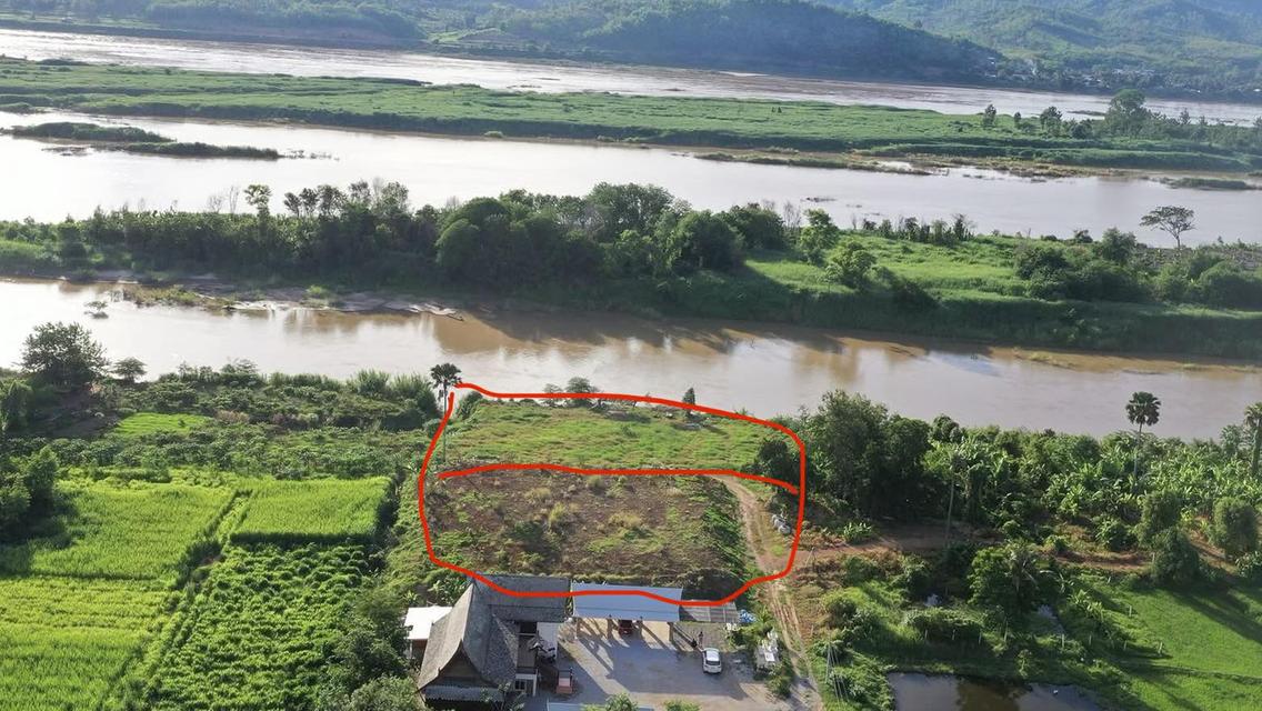 ที่ดินติดริมโขง จ.เลย 4