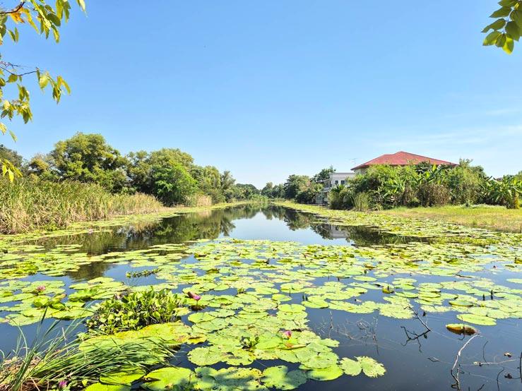 ที่ดิน หมู่บ้าน สวนเอก เลคปาร์ค ลําลูกกา ปทุมธานี 16