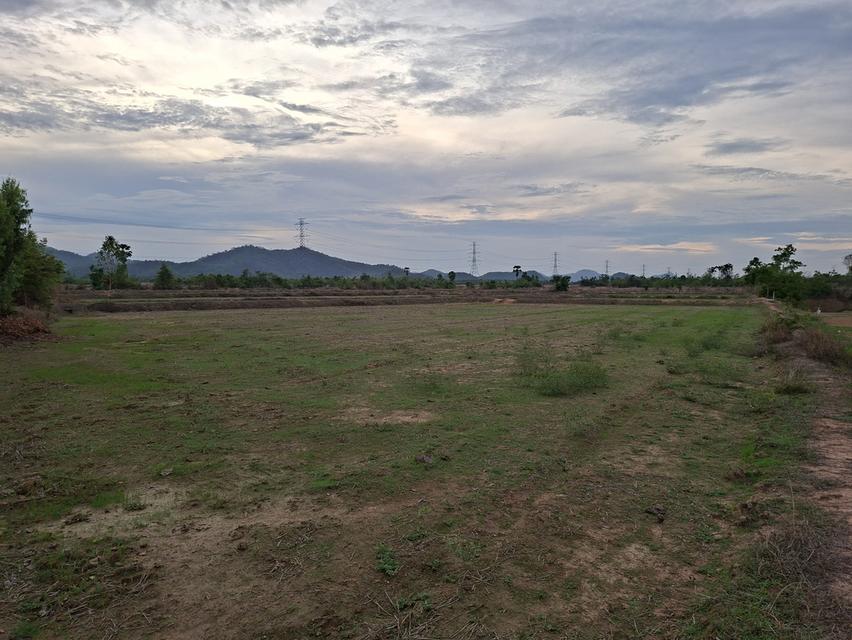 ืั้ที่ดิน อ.เขาย้อย จ.เพชรบุรี 29 ไร่ 2 งาน 5