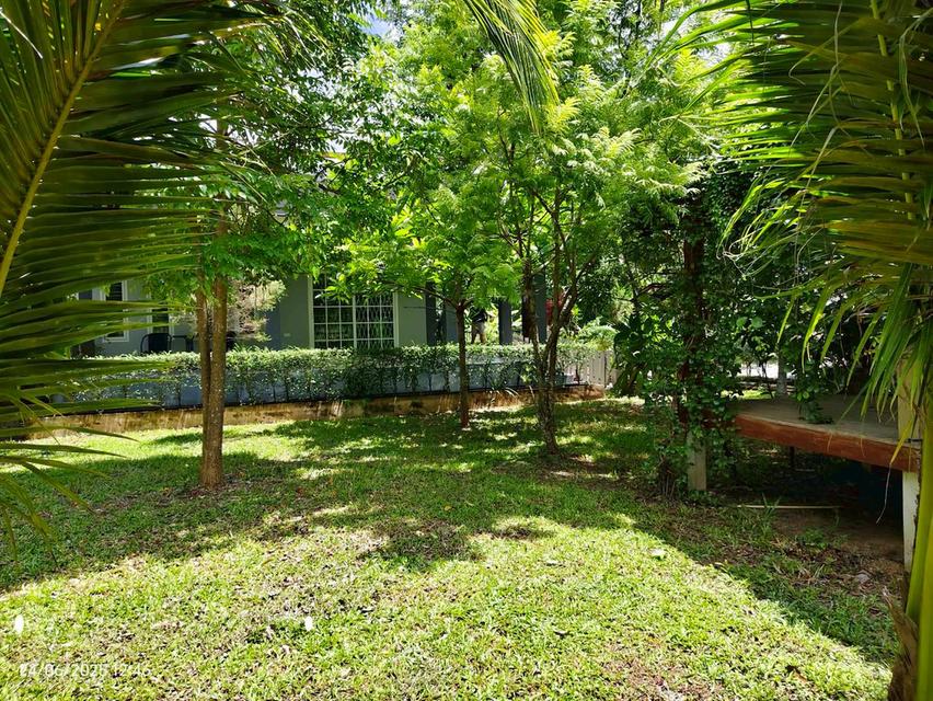 บ้านสวนในฝัน…กลางเมืองสระแก้ว 20