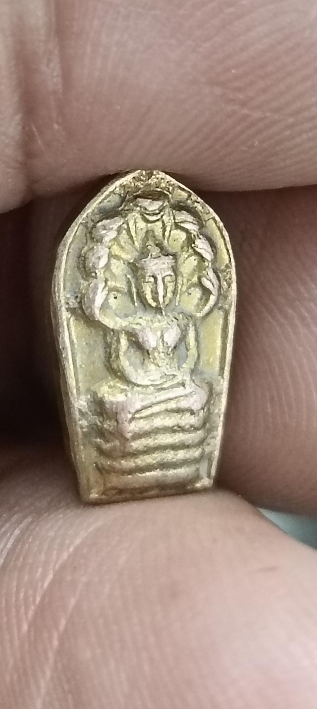 พระนาคปรกใบมะขาม หลวงปู่โต้ะวัดประดู่ฉิมพลี ปี21 9