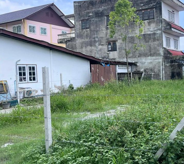 ขายที่ดินเสม็ดหลังแม็คโคร 65 ตรว. ถมแล้วซอยจัดสรร4 ใกล้ถนนสุขุมวิท3-400เมตร อ.เมืองชลบุรี 2