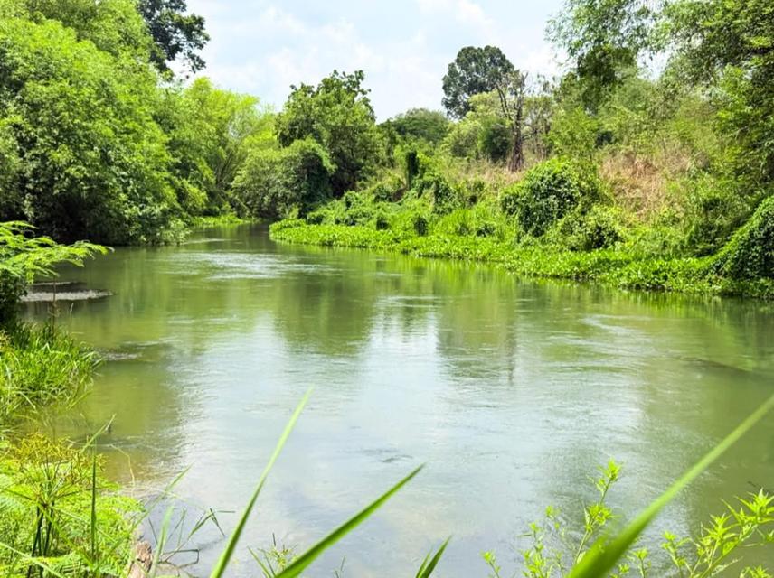 ที่ดินติดแม่น้ำเพชรบุรี ราคาถูก อากาศดี ใกล้ชุมชน 2